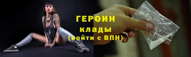 гашик Аркадак
