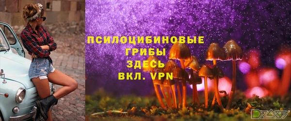 первитин Армянск