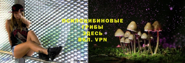 гашик Аркадак