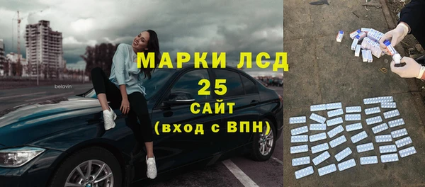 гашик Аркадак